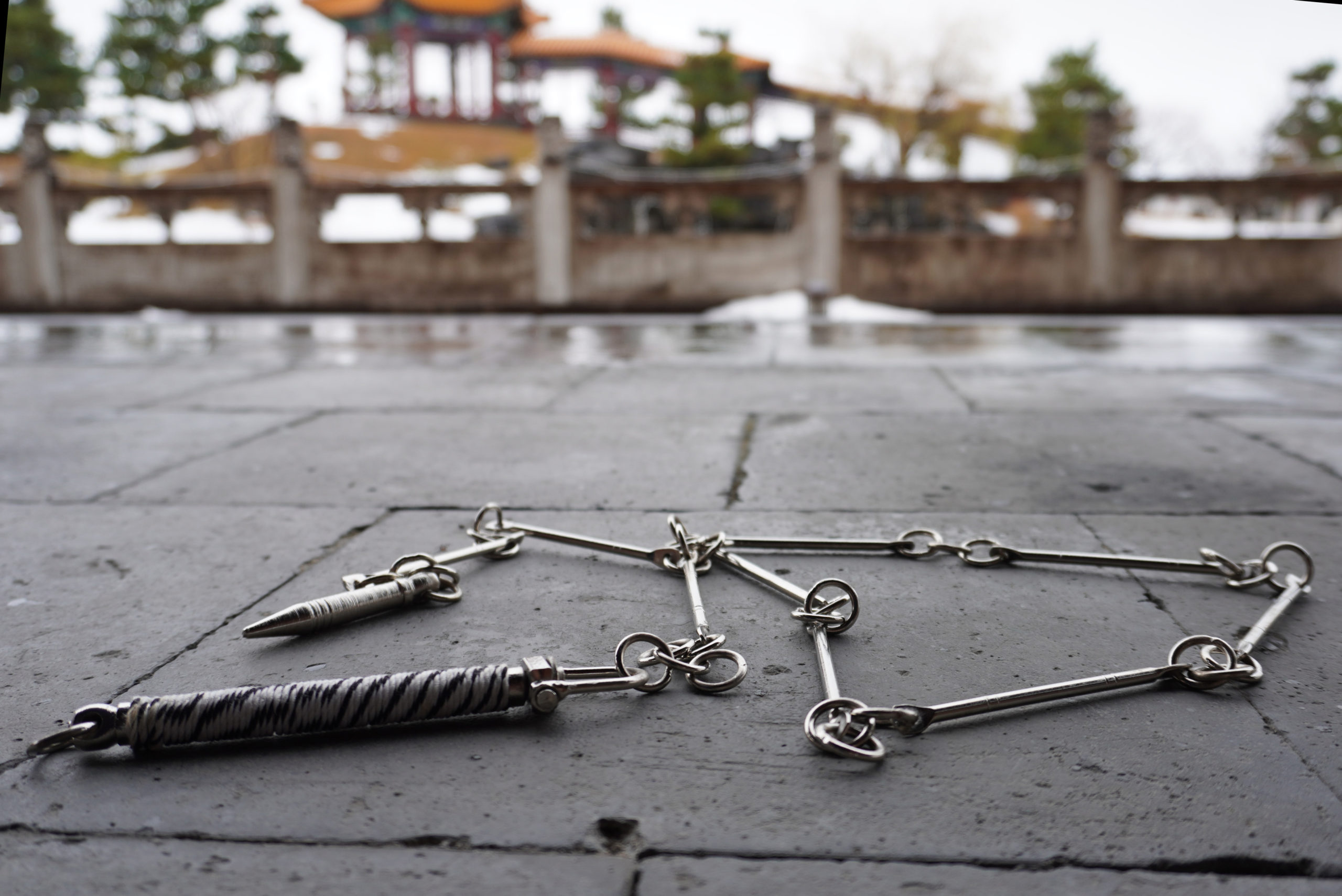 九節鞭 中国武術　伝統武器