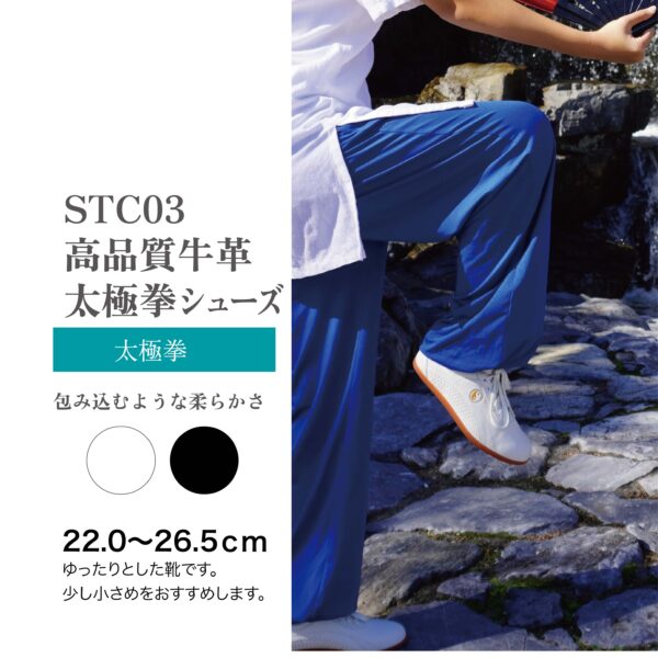 STC03太極拳シューズ-